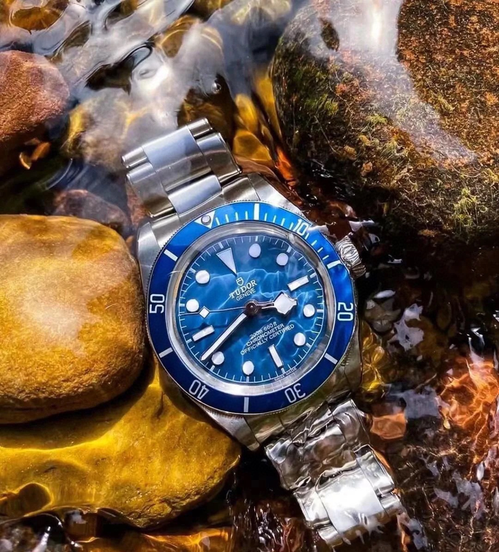 Tudor Black Bay