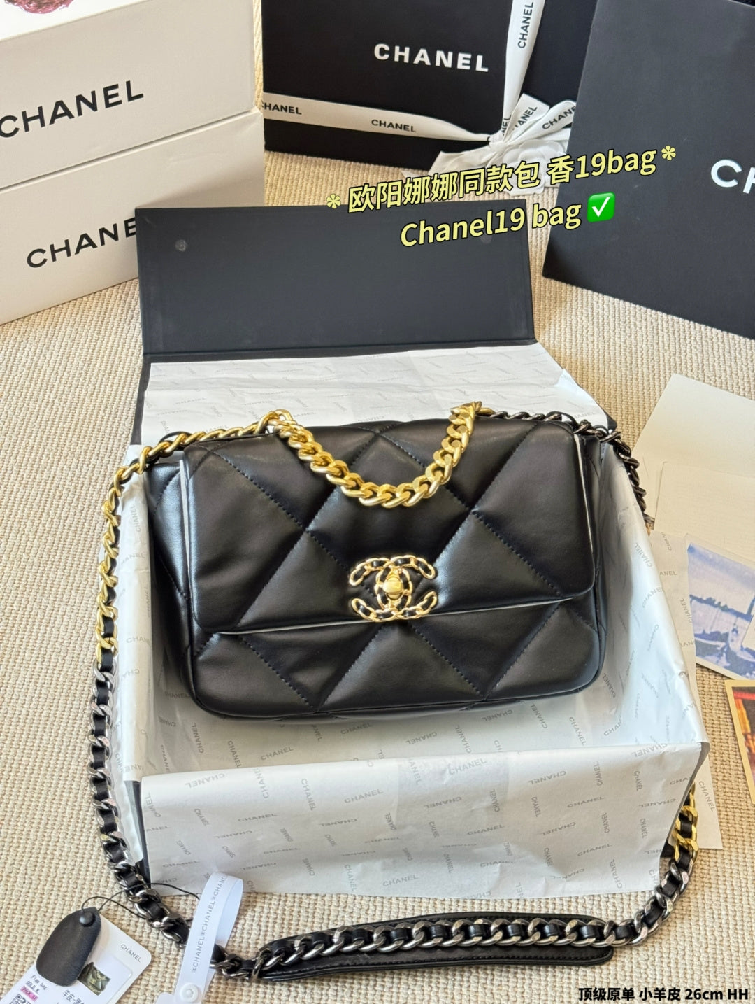 Bolsa CHANEL 19