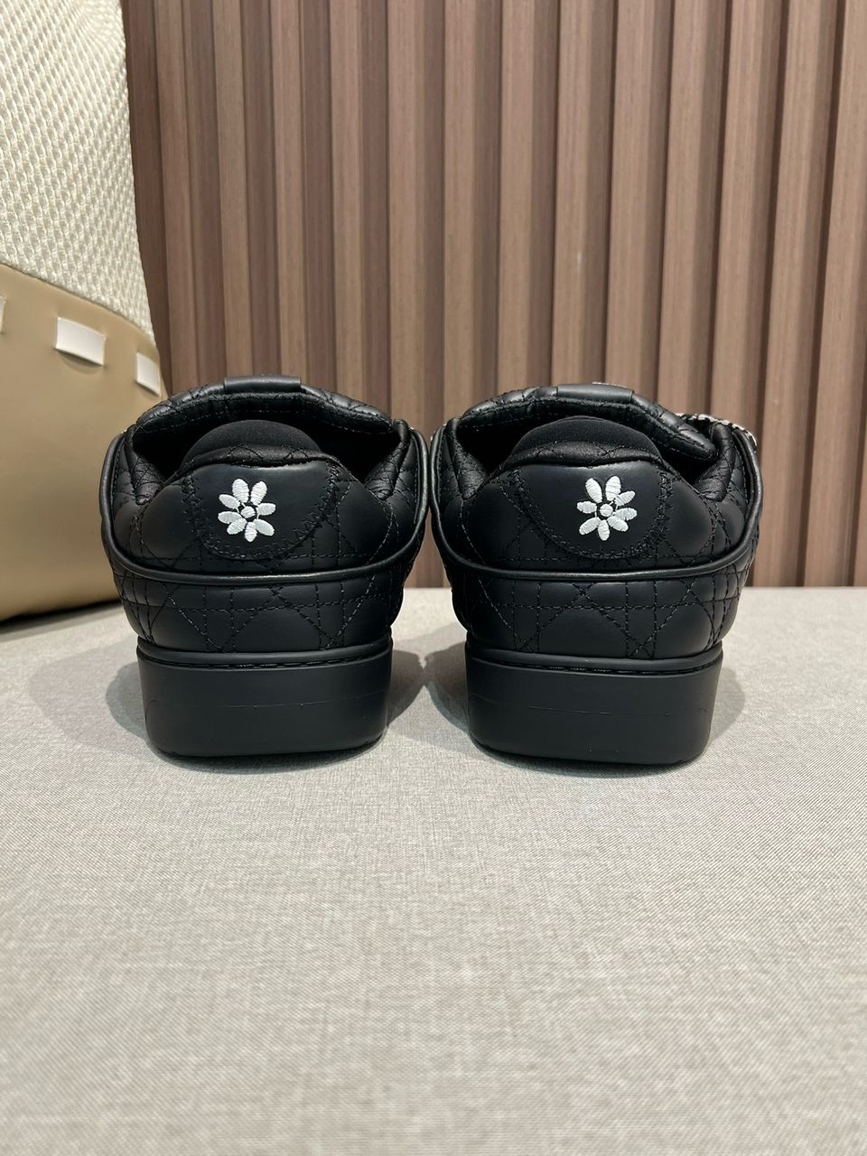 Dior B9S Skater