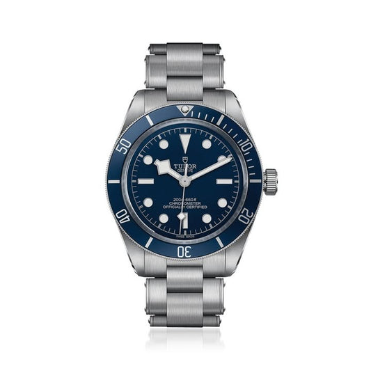 Tudor Black Bay